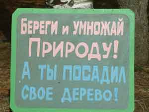 движение г. Артема Приморского края - Посади свой кедр - советы как посадить дерево