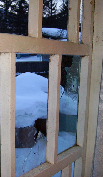 Разбитое стекло  в доме  у Константина Доброшевского, фото: WWF россии / Дмитрий Кучма 