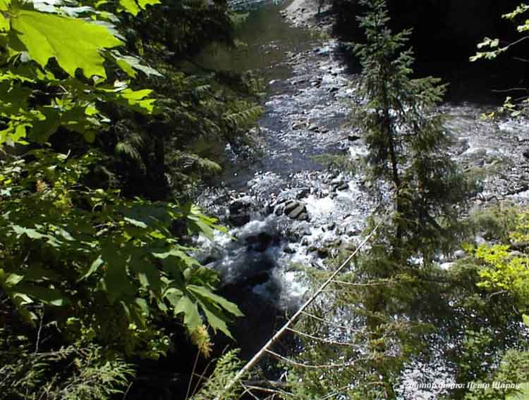 creek, Oregon